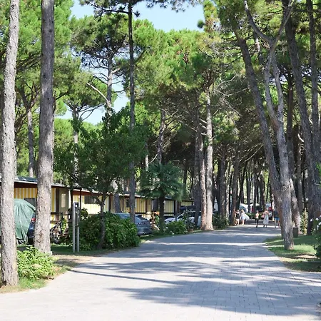 Campingplads Il Tridente Village