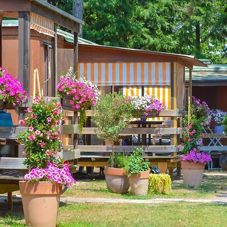 Il Tridente Village Campingplads *