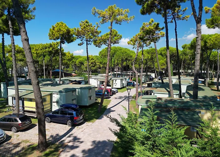 Camping Il Tridente Village *